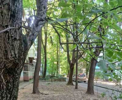 Героев Крут( Терешково) 3 комн.квартира Одеса - зображення 6