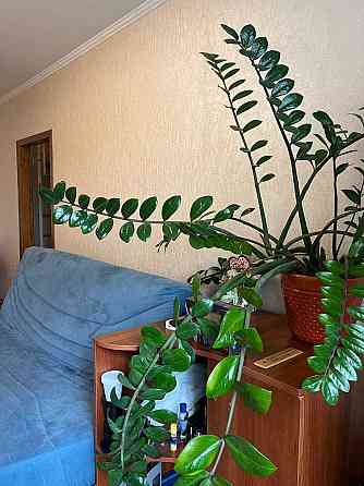 Терміновий продаж трьокімнатної біля метро (403959) Харьков