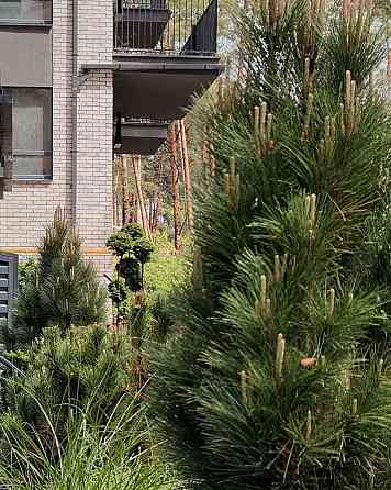 Простір для ваших найсмілиших мрій!Найкращій комплекс в Ірпені! Ирпень