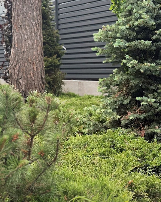 Простір для ваших найсмілиших мрій!Найкращій комплекс в Ірпені! Ирпень - изображение 4