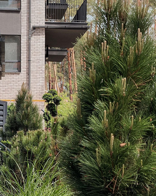 Простір для ваших найсмілиших мрій!Найкращій комплекс в Ірпені! Ирпень - изображение 5