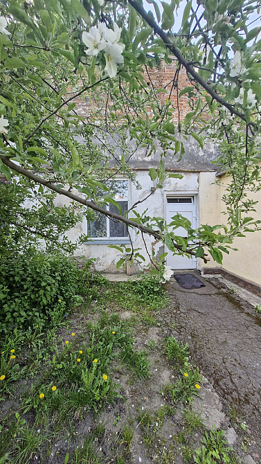 Продаж великої квартири, центр р-н музея Космонавтики Житомир - изображение 6