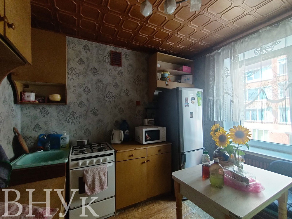 Продається 1 кімнатна квартира на Алясці Тернопіль - зображення 5