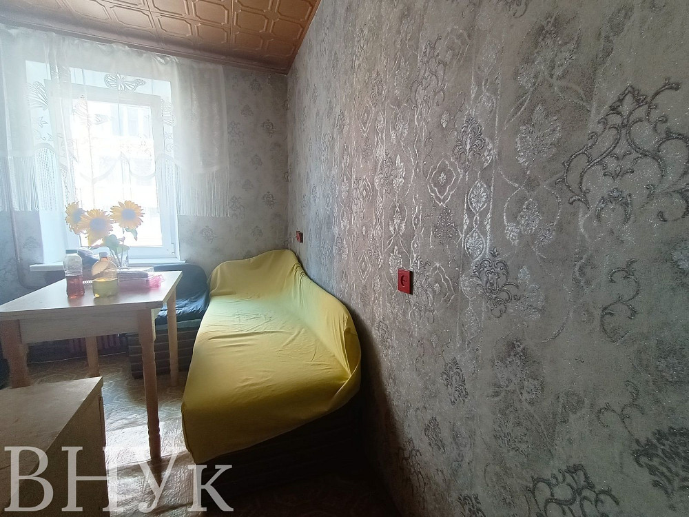 Продається 1 кімнатна квартира на Алясці Тернопіль - зображення 6