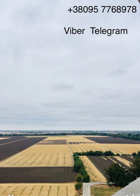 Квартира в Real Park, Селекційний інститут. Власник. Одеса - зображення 4