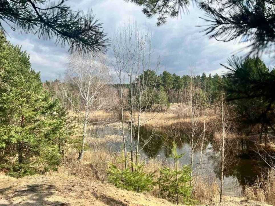 Продаж квартири Деснянський р-н метро 3 хв на авто Власна тераса!! Киев - изображение 6