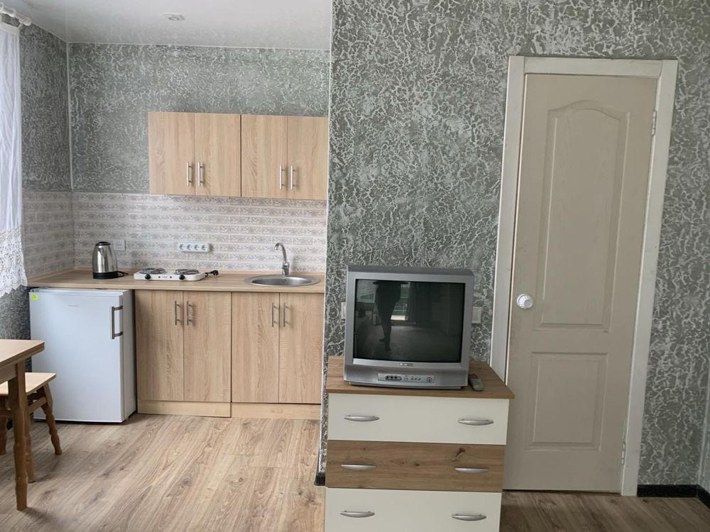 Сдам свою однокомнатную квартиру частный сектор Крыжановка! Крижанівка - зображення 6