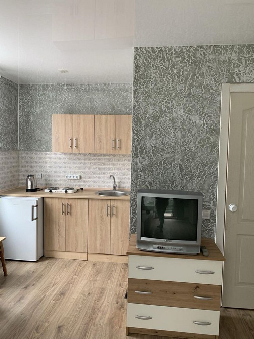 Сдам свою однокомнатную квартиру частный сектор Крыжановка! Крижанівка - зображення 4