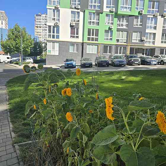 Продам 1к квартиру з максимальним наповненням всього за 36500$ Ірпінь