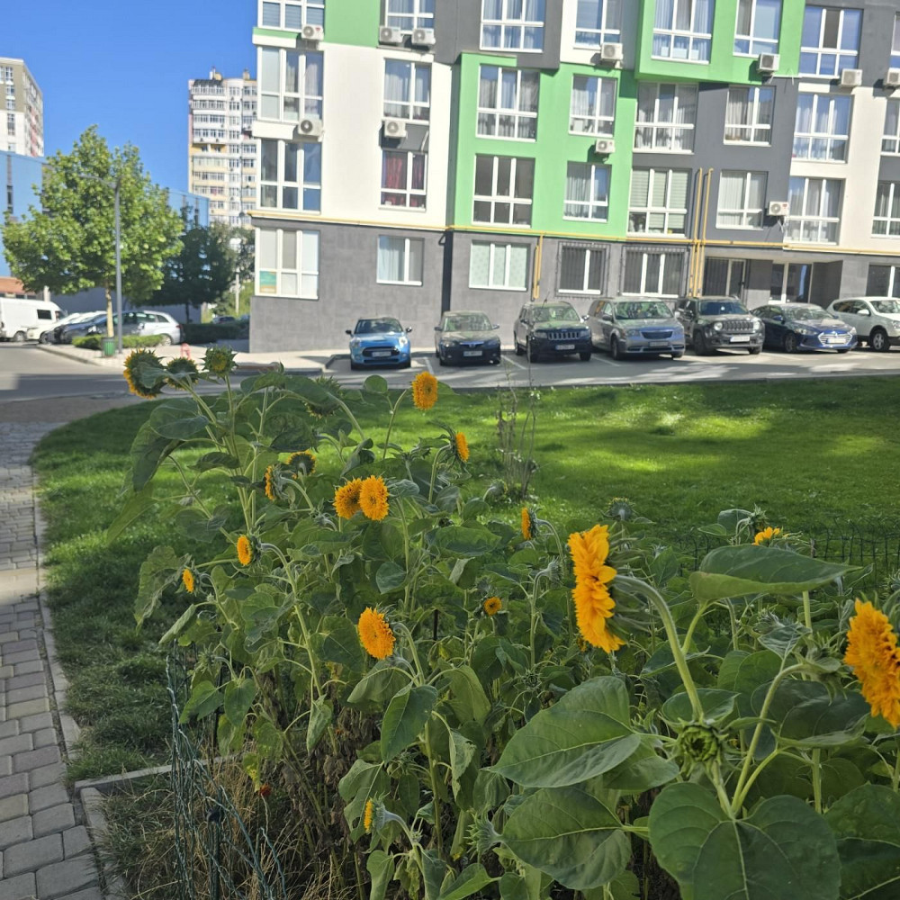 Продам 1к квартиру з максимальним наповненням всього за 36500$ Ірпінь - зображення 3