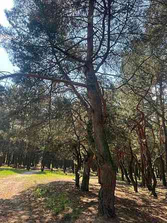 Продам 1 кімн з нішею вул Д.Кострова Кременчуг