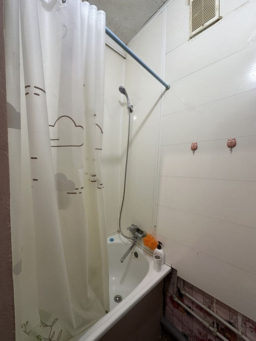 Оренда гостинки на Перемозі Запорожье - изображение 8