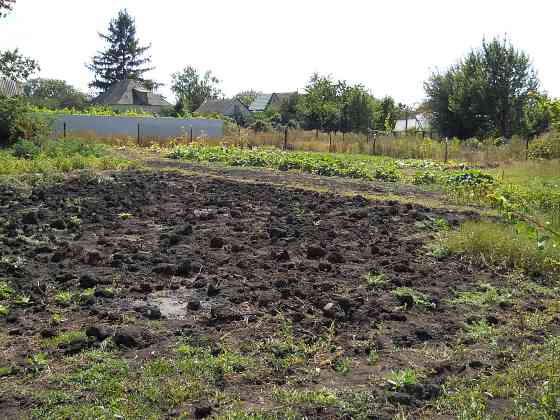 Трикімнатну квартиру в с. Веселе, Дніпропетровська область Синельникове