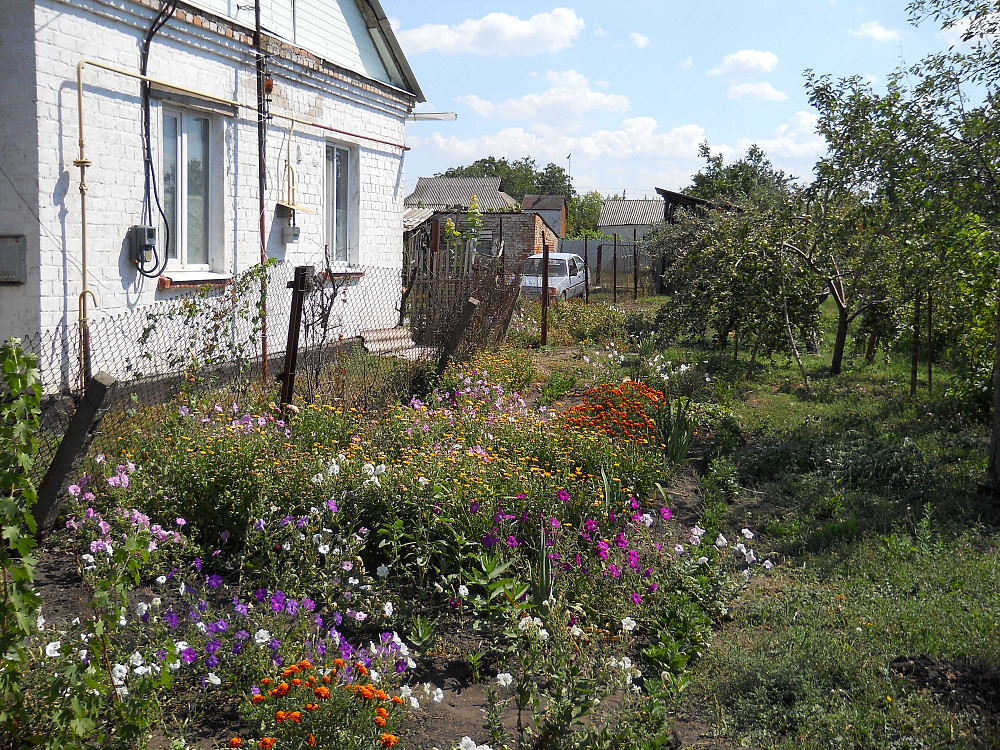 Трикімнатну квартиру в с. Веселе, Дніпропетровська область Синельникове - зображення 8