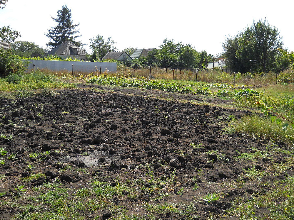 Трикімнатну квартиру в с. Веселе, Дніпропетровська область Синельникове - зображення 5