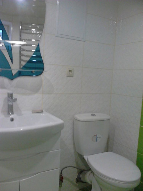 Сдам большую 1к 65м2 с выходом во двор, животные обсуждаются Рабочая Дніпро - зображення 4