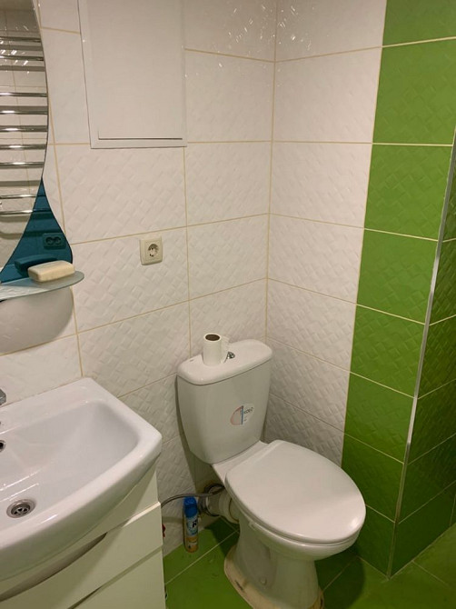 Сдам большую 1к 65м2 с выходом во двор, животные обсуждаются Рабочая Дніпро - зображення 6