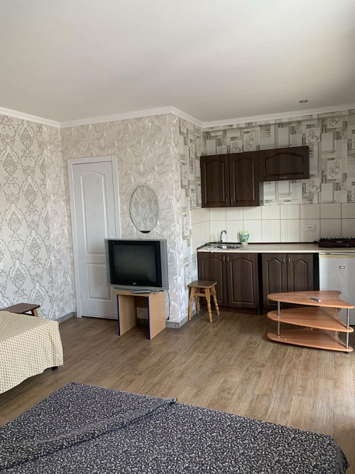 Сдам свою однокомнатную квартиру в студию, частный сектор Крыжановка Одесса - изображение 5