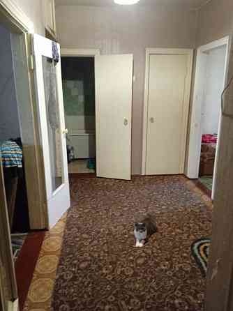 Здам трикімнатну квартиру, на довготривалий термін. 10000 за місяць Драбів