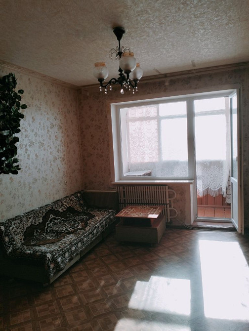 Лушпи, Зарічний рн,з домашньою твариною можно заселяють  всіх Суми - зображення 4