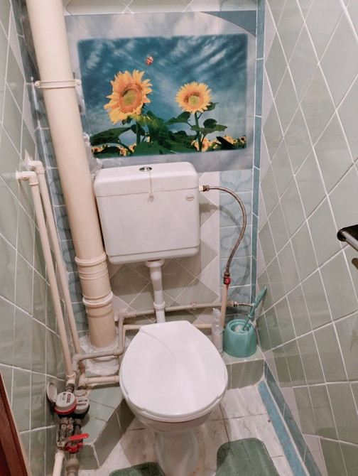 Лушпи, Зарічний рн,з домашньою твариною можно заселяють  всіх Суми - зображення 7