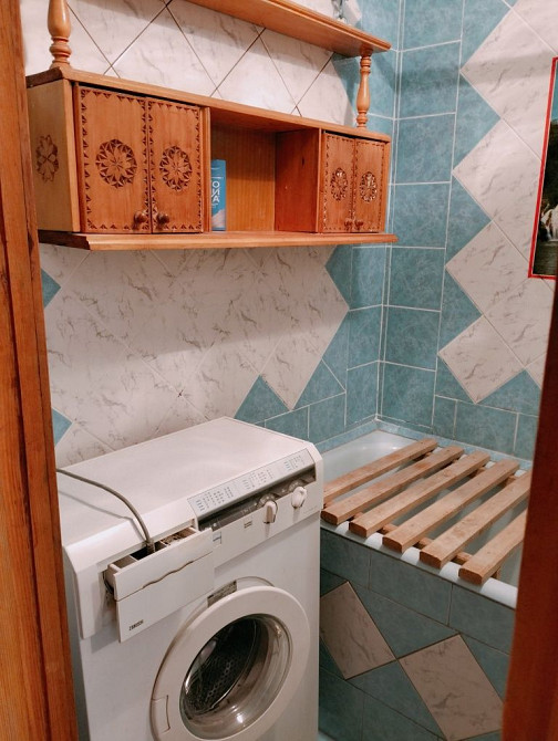 Лушпи, Зарічний рн,з домашньою твариною можно заселяють  всіх Суми - зображення 5