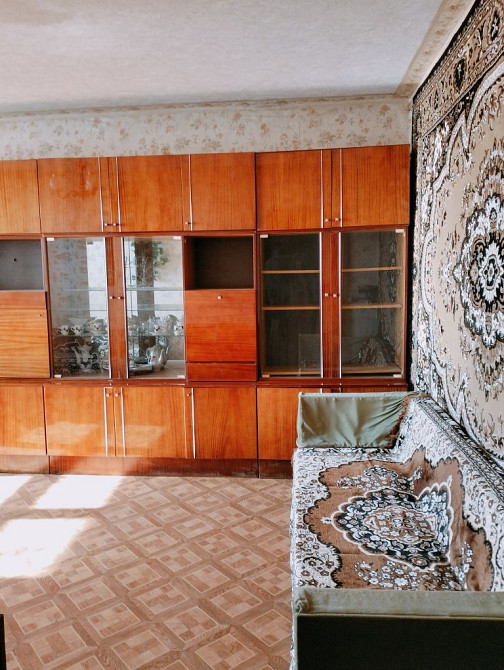 Лушпи, Зарічний рн,з домашньою твариною можно заселяють  всіх Суми - зображення 2