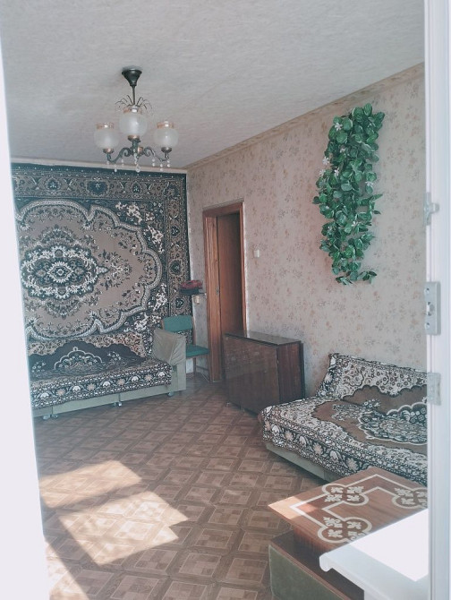 Лушпи, Зарічний рн,з домашньою твариною можно заселяють  всіх Суми - зображення 3