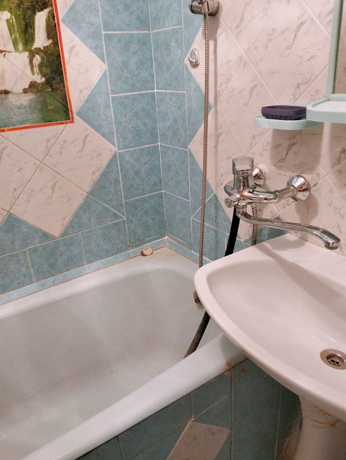 Лушпи, Зарічний рн,з домашньою твариною можно заселяють  всіх Суми - зображення 6