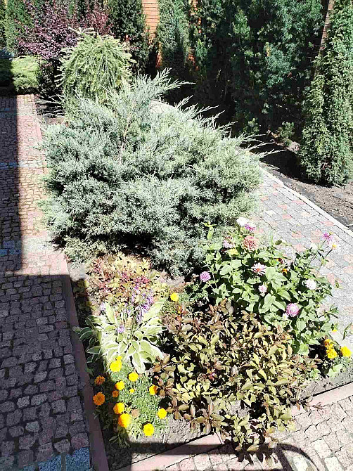 IS3 Продам 2к квартиру Героев Труда7\9 40000 сертификат. Харьков - изображение 7