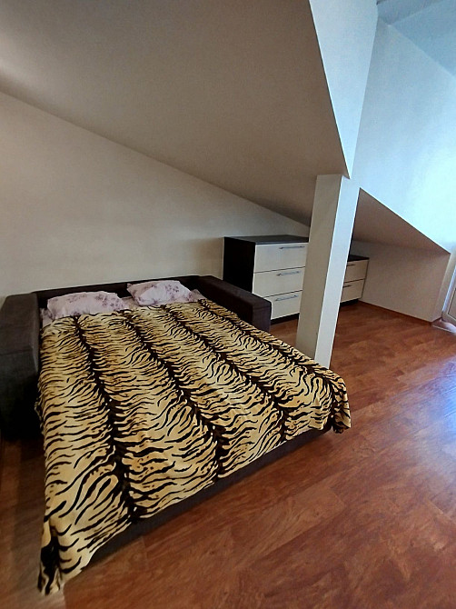 Сдам 2 к.кв АББО, до лета. Чорноморськ - зображення 5