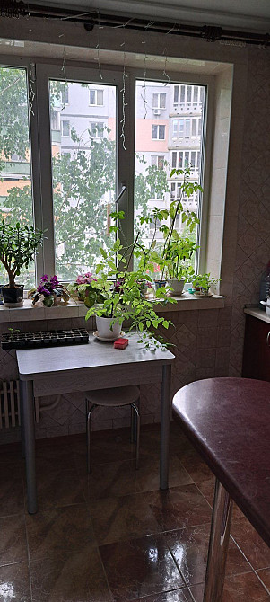 Сдам 3х к.квартиру м.Салтовская Харьков - изображение 1