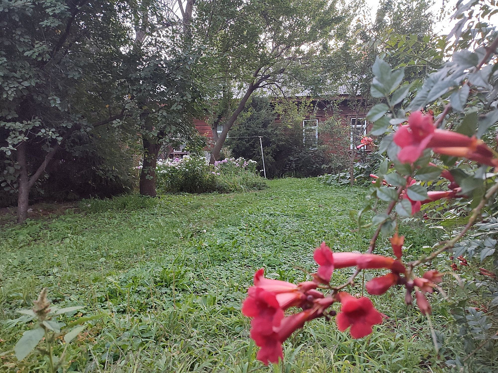 2х кімнатна квартира на землі в центрі міста - 24700 Дол США Рівне - зображення 2