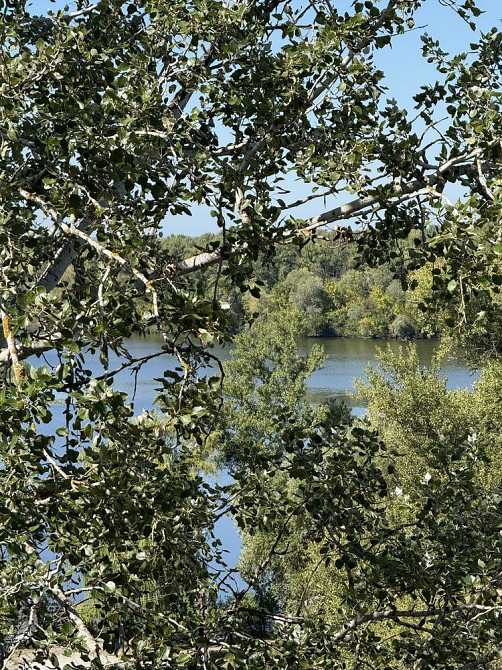 Однокімнатна квартира з видом на річку, 5 хв від центру Кременчуг - изображение 7