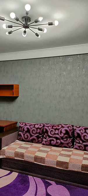 Аренда 1 ком. кв. ул. Украинская Запоріжжя - зображення 2