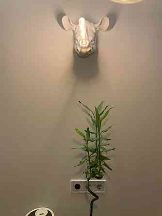 Премиум-евродвушка 58 м² — ЖК «Французский бульвар» | 29 000 грн/мес Одесса