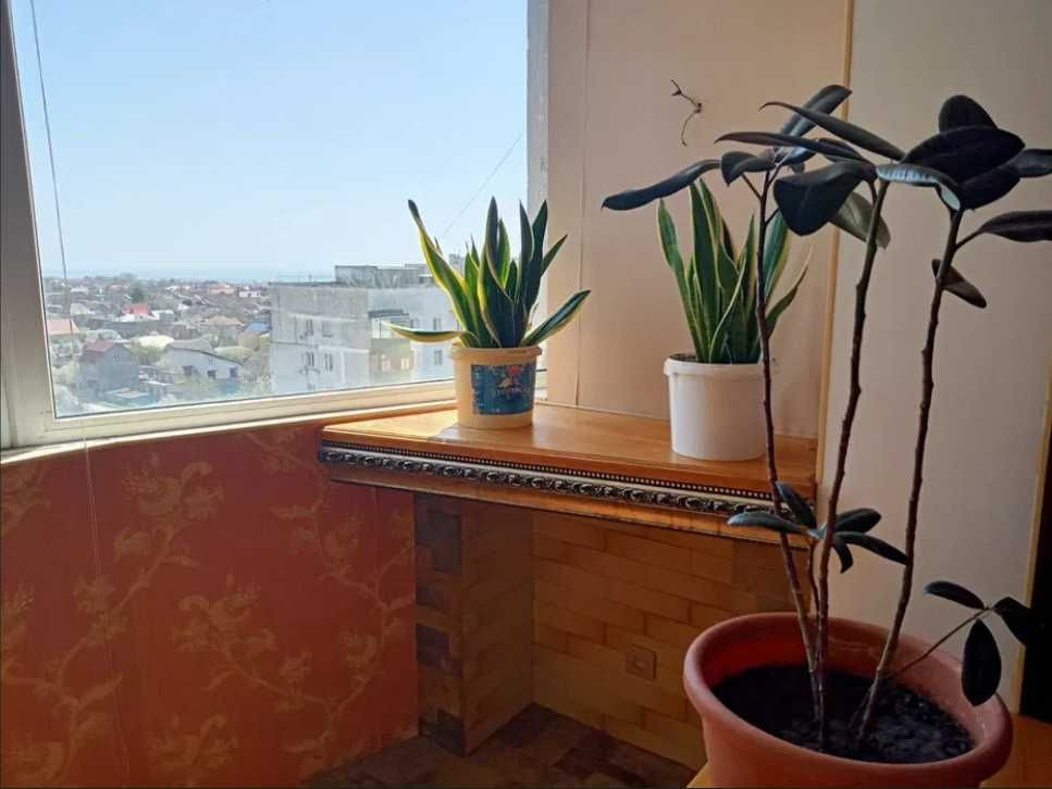 3-кімнатна квартира на просп. Добровольського Одеса - зображення 7