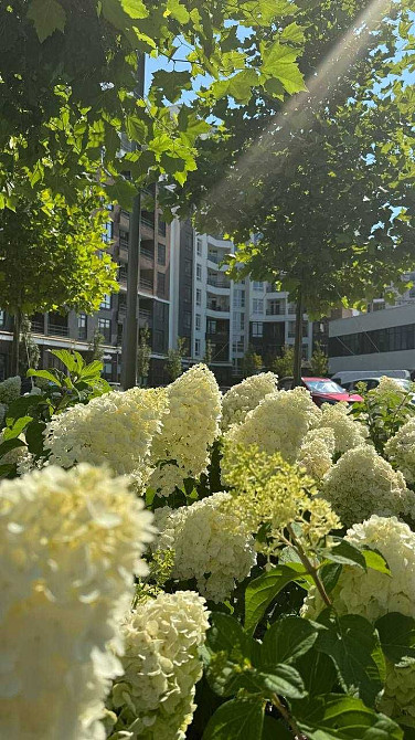 Краща будівельна група Синергія. Єоселя. 1к квартира з гардеробом Ірпінь - зображення 1