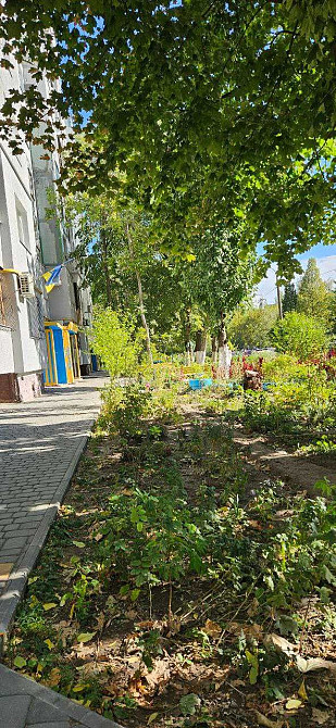 Сдам 1-комн., Бабурка, 15 мкр-н, 2/9 эт. Запоріжжя - зображення 1