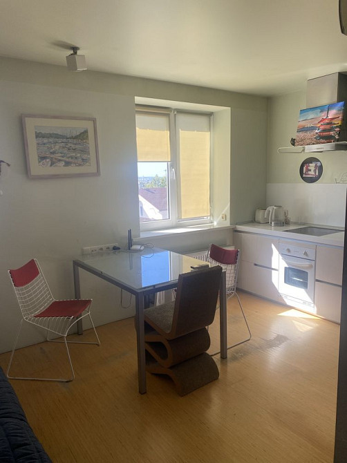 Сдам 1к кв Центр Майка Йогансена(Лермонтовская),28 Харків - зображення 8