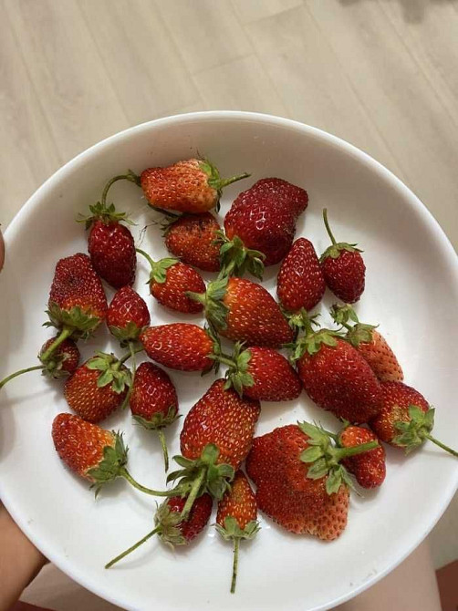 Аренда 2к квартиры Сухой Фонтан Миколаїв - зображення 7