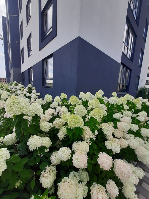 Квартира 21 м² у ЗБУДОВАНОМУ будинку навпроти Бучанського парку. Буча - изображение 7