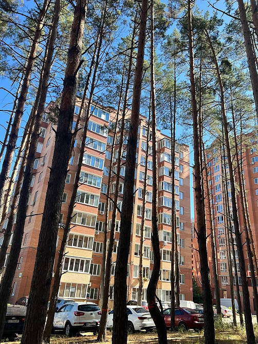 Оренда 1 к квартира Центральний парк Газ Ирпень - изображение 8