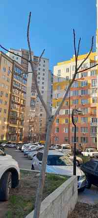 Срочно продам 2 ком квартиру в сданном , кирпичном доме. Одесса