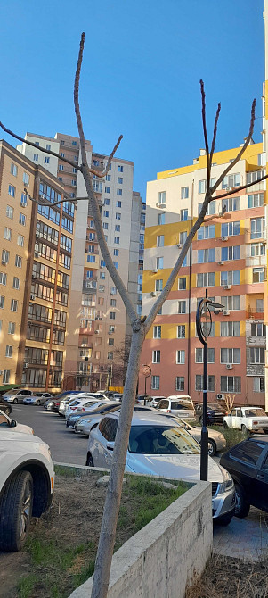 Срочно продам 2 ком квартиру в сданном , кирпичном доме. Одесса - изображение 4