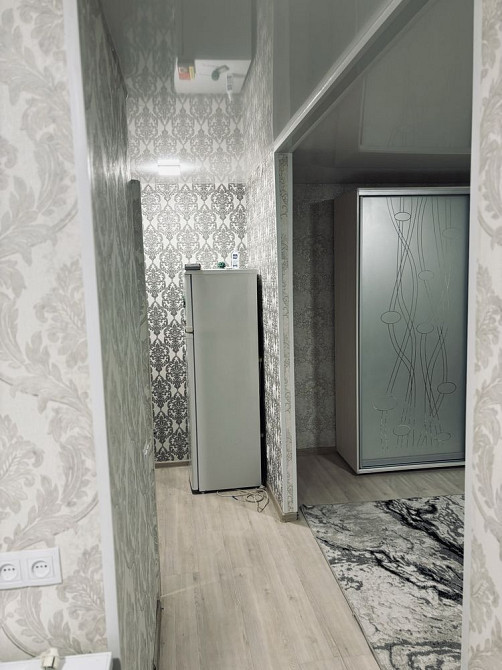 Сдам 1 комнатную квартиру (можно с животными ) Запоріжжя - зображення 5