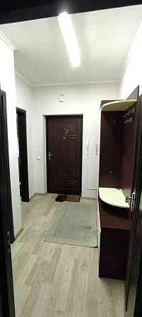 однокімнатна квартира з меблями та технікою, Капушанська, 177А Минай