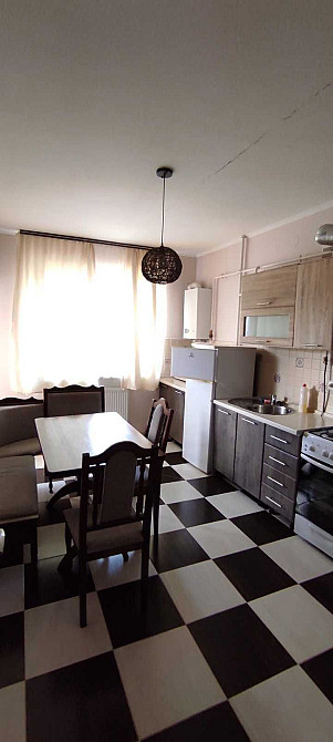 однокімнатна квартира з меблями та технікою, Капушанська, 177А Минай - зображення 1