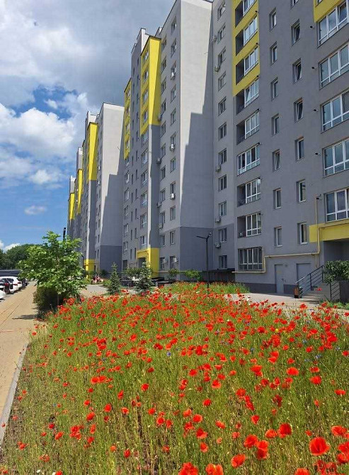 ℹ️ОРЕНДА 1️⃣-кім.квартири вул. Ак.Янгеля (кухня-студія,окремо спальня) Вінниця - зображення 3