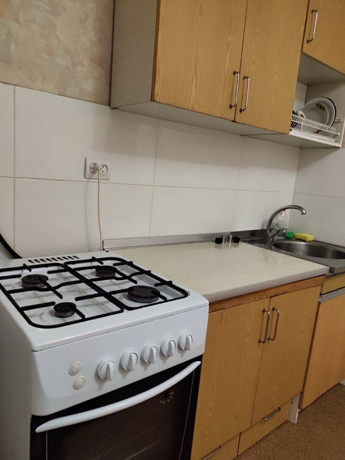 Здам квартиру, хазяйка Київ - зображення 4